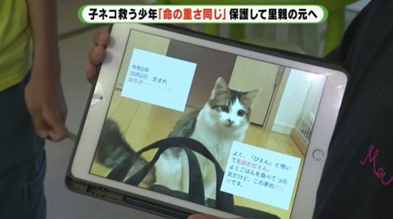 里親が作ったアルバム　コメントも書かれている