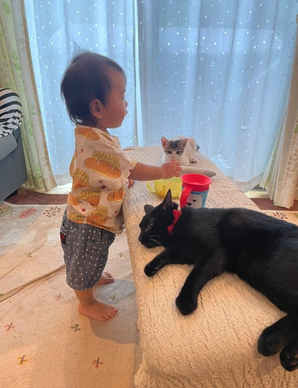 提供：ゴンゾウR4さん