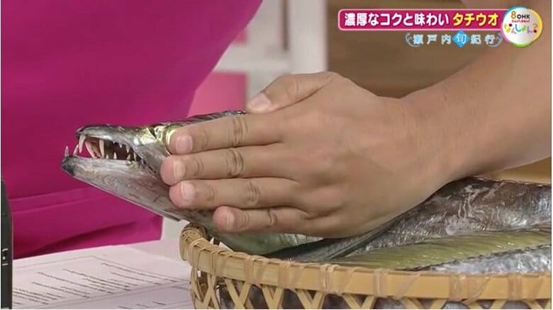 “指５本分”と極太！「ドラゴン」サイズのタチウオ