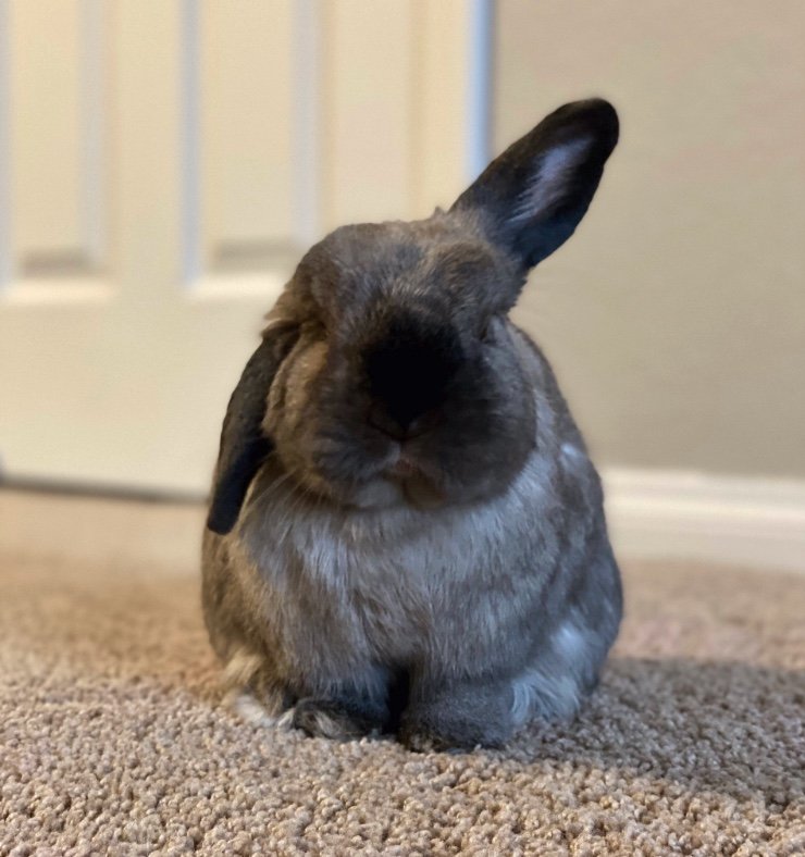 提供：和泉ユタカさん