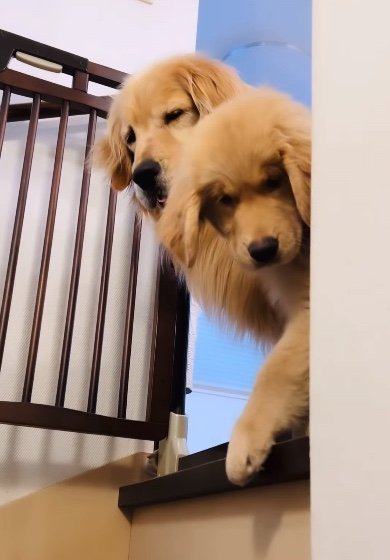 提供：efrinmanさん