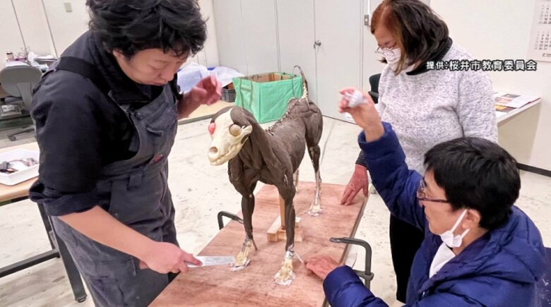 復元作業　提供：桜井市教育委員会