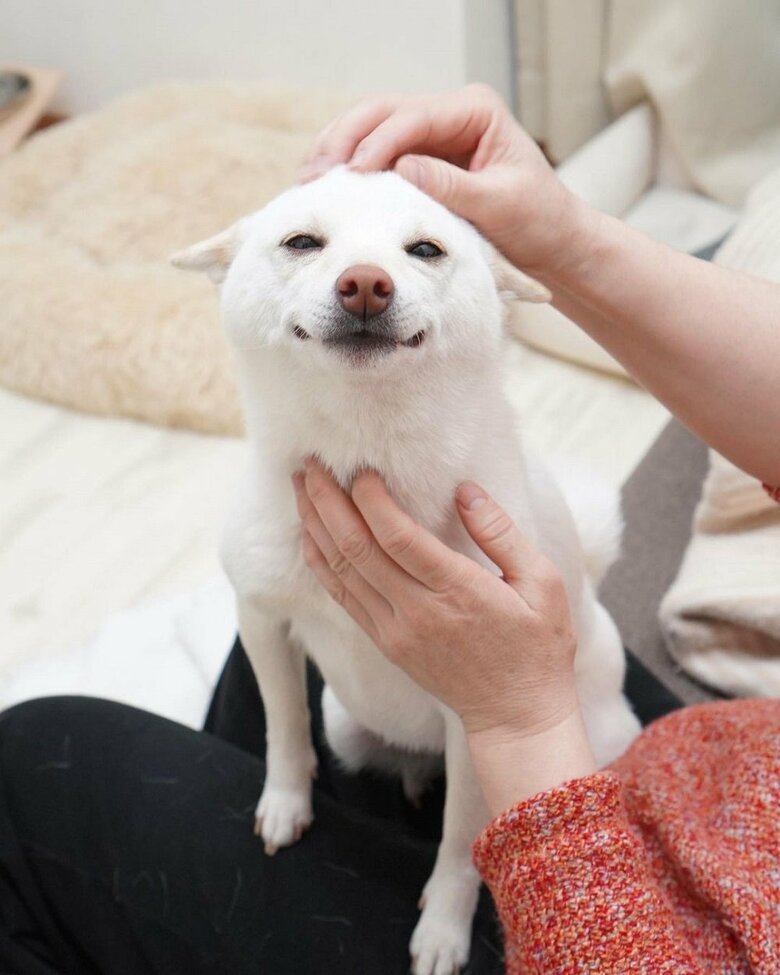 ヒコーキ耳笑顔