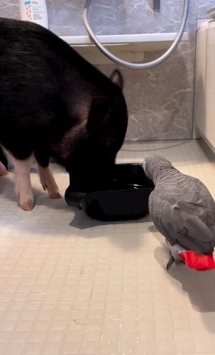 一緒に水遊び中