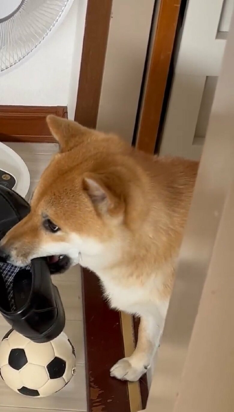 この後、強行突破していったという