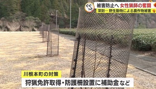 川根本町も対策に補助金