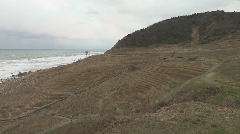 2025年元日の白米千枚田