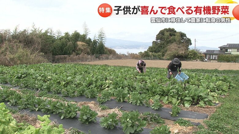 山と海に囲まれた土壌