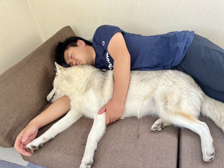 提供：ハスキーいちみちゃんと田舎暮らしさん