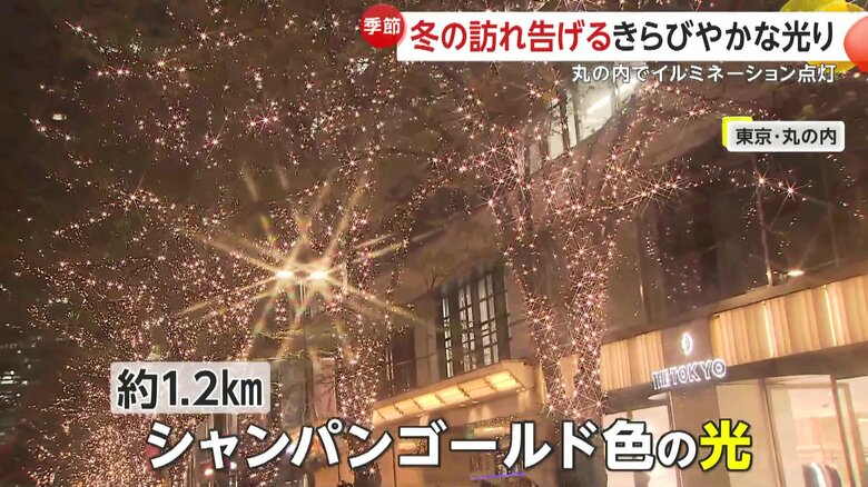 通りを彩るシャンパンゴールドのイルミネーション