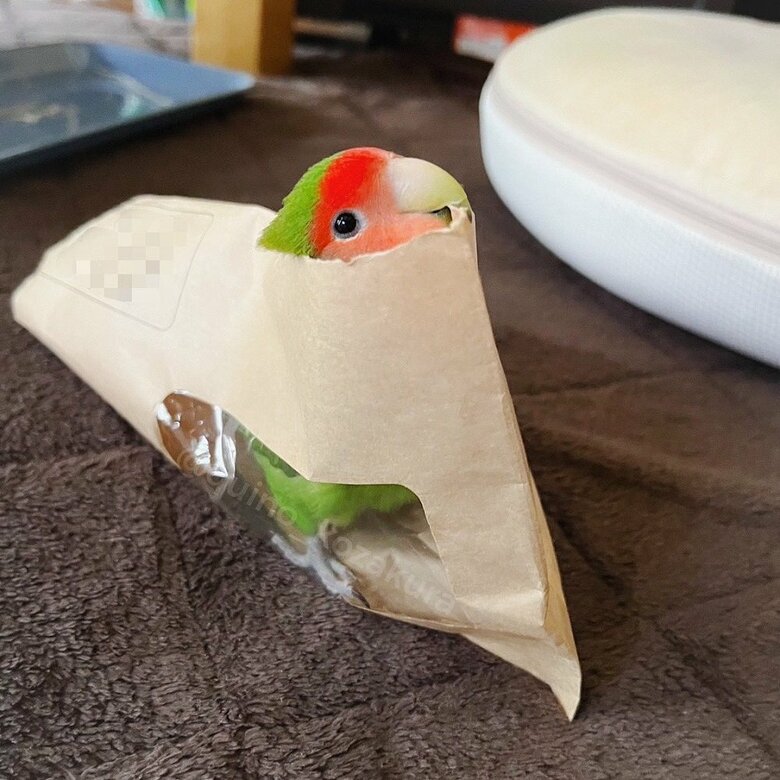 封筒好き