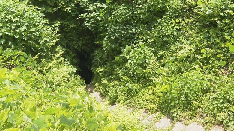 大沢鍾乳洞の入り口