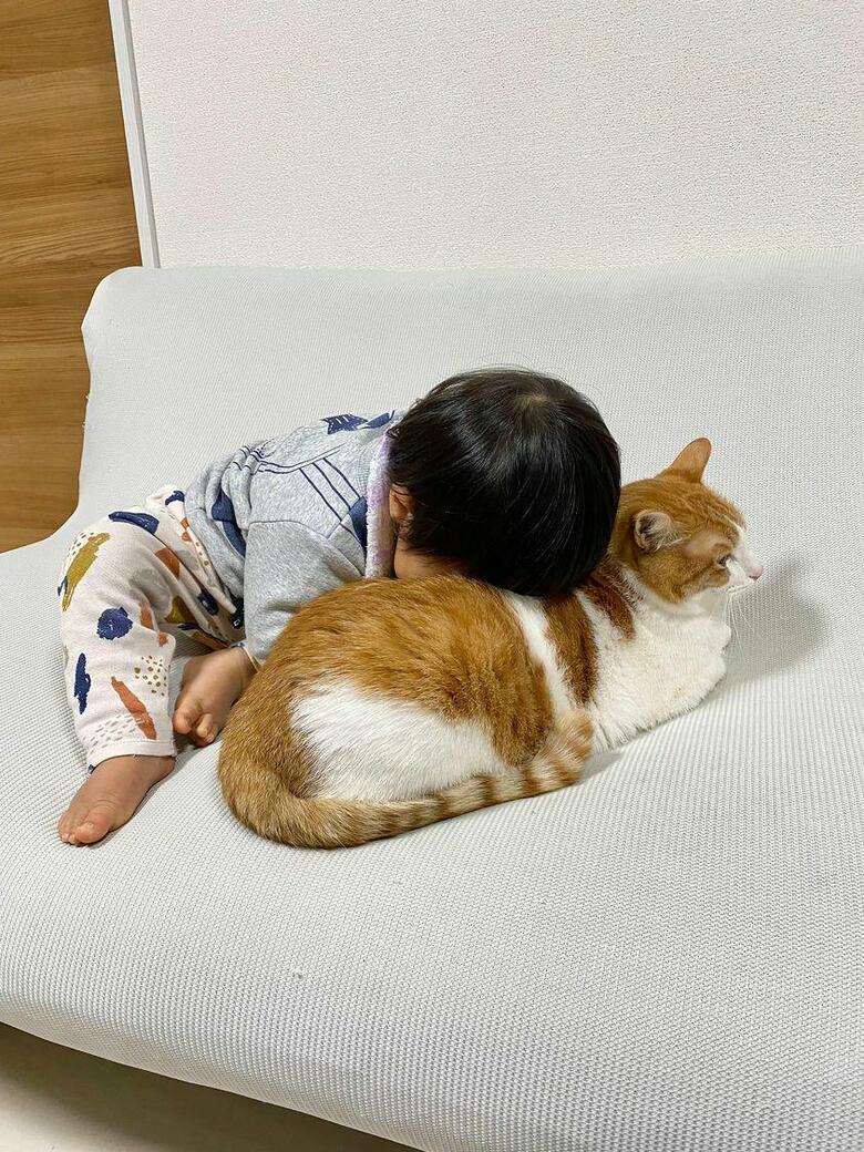 提供：Hassakuさん