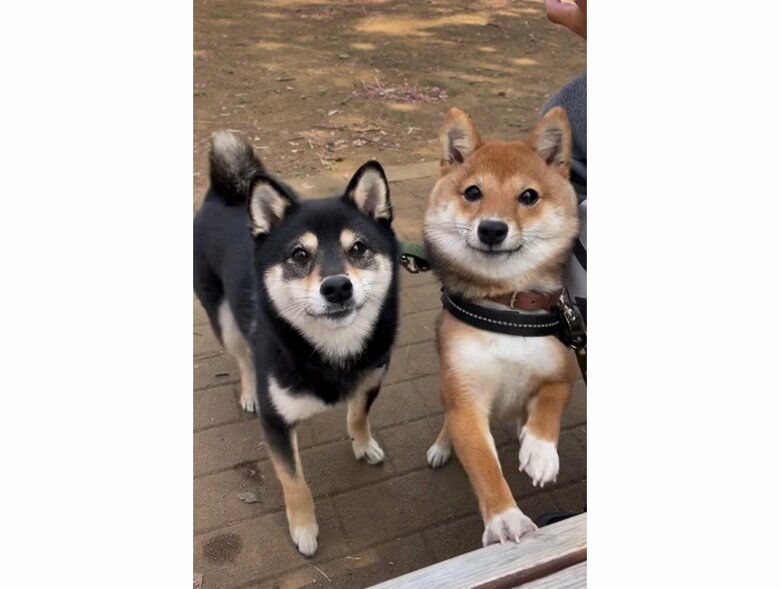 毎日ごはんフェスティバル（提供：まめふく&ゆめくりさん）