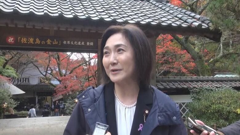 生稲晃子 外務政務官