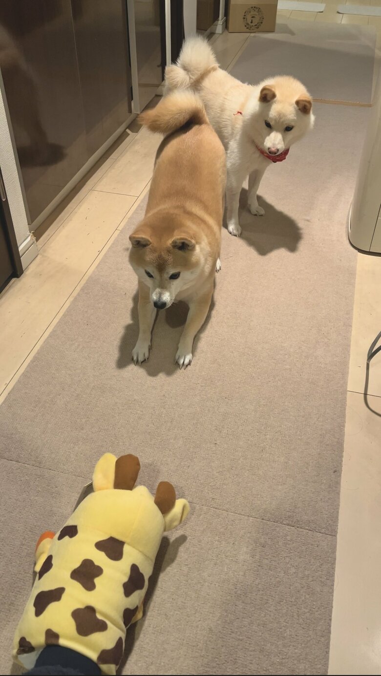 警戒している？