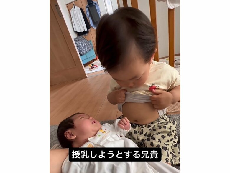 提供：＠zen_pokoさん