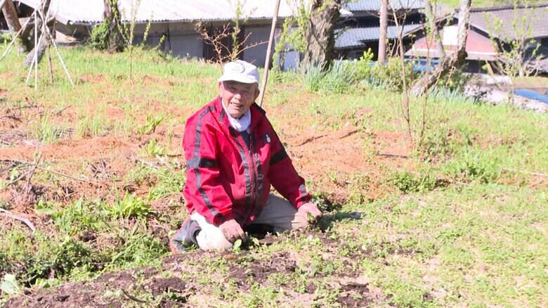財前さんの父・紘二さんは畑作業のほとんどを担当されるそう
