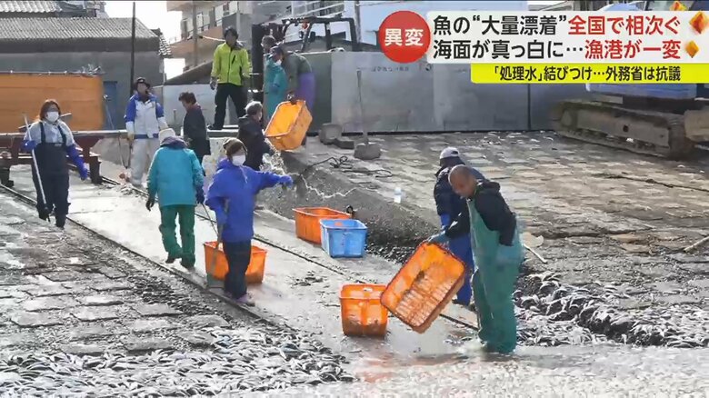 漁師らは回収作業に追われた