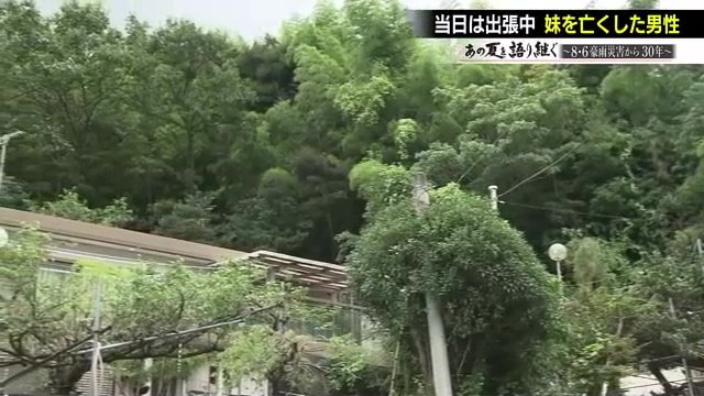 30年がたち、裏山の木々も大きく育つ