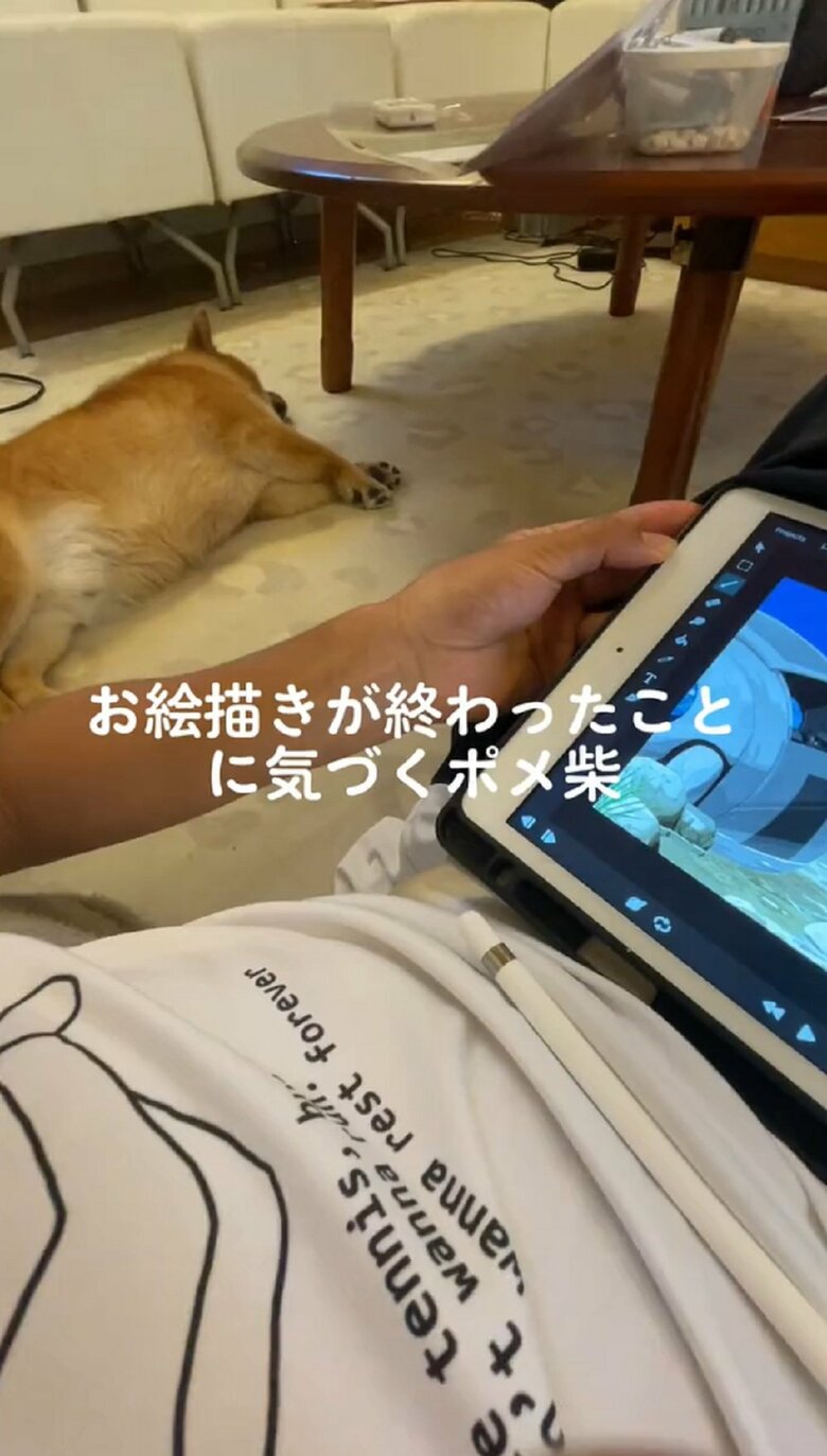 タブレット型端末で絵を描く飼い主さんと、奥には寝ているもなかくん