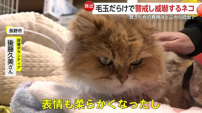 世話をしていくうちに、表情も柔らかくなったという