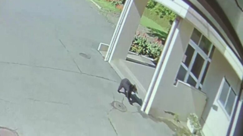 中学校の玄関前をうろつくクマ（一本木中学校防犯カメラ）