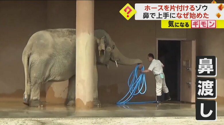 （撮影：らすかるさん）