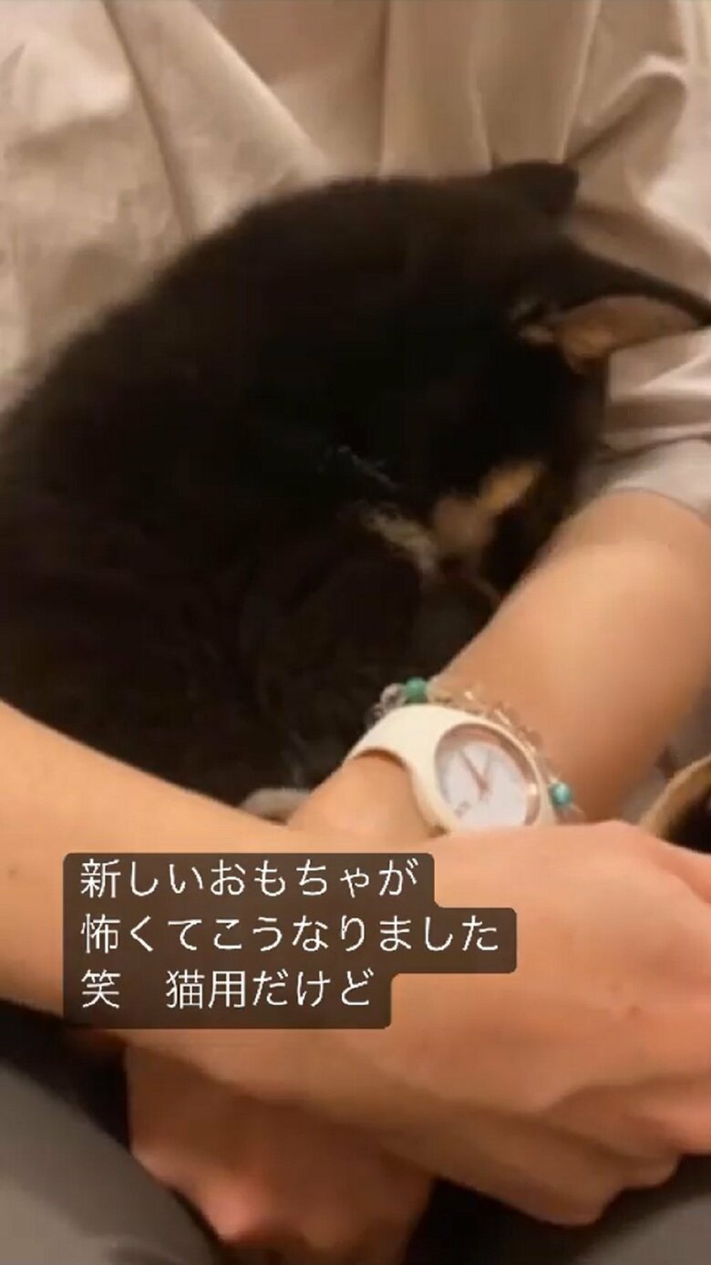 おもちゃを見ると「怖い！」