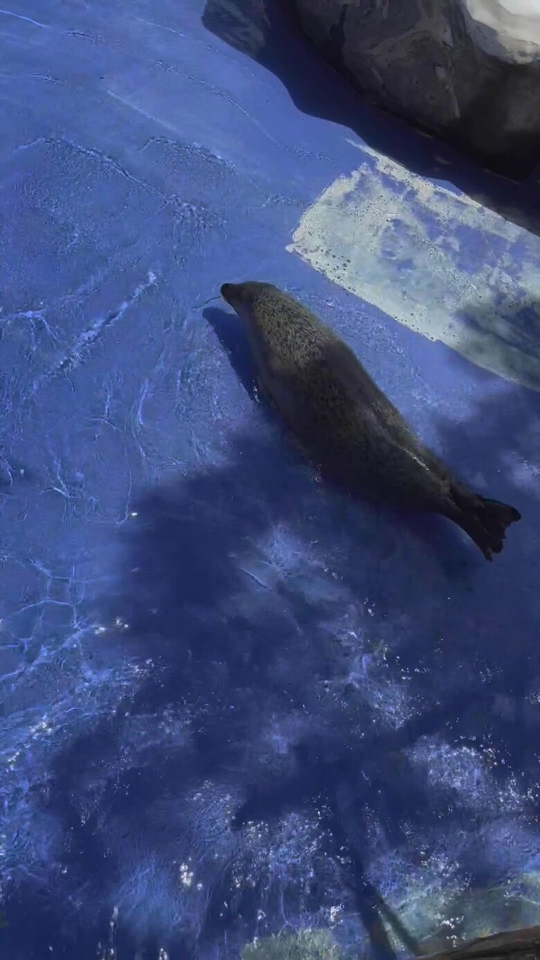 （提供：名古屋市東山動植物園）