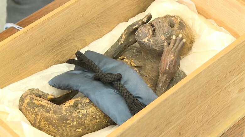浅口市の寺に伝わる「人魚のミイラ」