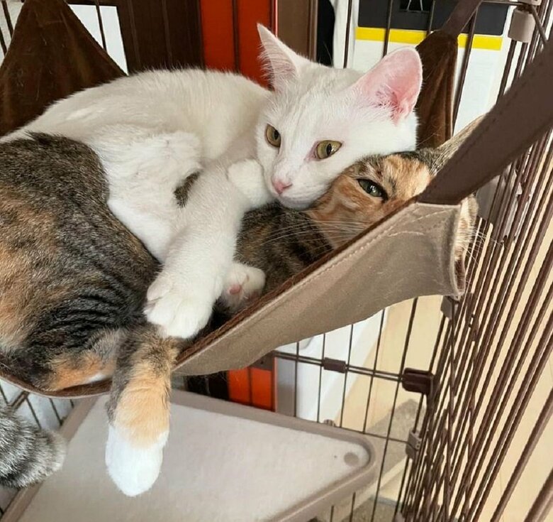 うにちゃんの“むぎちゃん愛”が強い