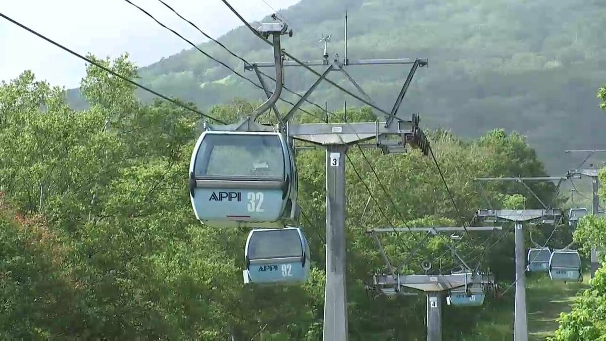 夏だけの景色を半額で！安比高原のゴンドラ「県民割」実施 岩手