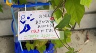 ”あさがお”でつながる結束の輪 オリンピックの風が小学校へ届けられる