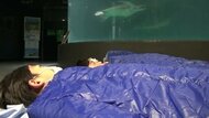 「夜もウミガメが気になる」小学生が水族館で宿泊体験　昼は川で大自然満喫【高知発】