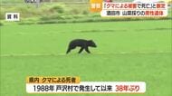 県内38年ぶりクマによる死者…山菜採りで酒田の山に入り死亡・駆除したクマから男性のDNA　山形