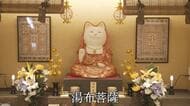 どこを見てもネコ「猫寺院ミュージアム」約２mの猫大仏も・湯布院の新名所２選