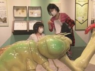 “クセが強い”虫たちが大集合…特別展『昆虫MANIAC』国立科学博物館の研究者が選んだ珍しい標本など