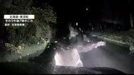 「やばいやばい！」車に向かって突進し襲いかかるクマ　車体には“爪痕”　運転手にけがなし　北海道美深町