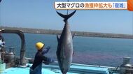 【クロマグロ】豊漁も泣く泣く放流…漁獲枠の拡大合意で漁業関係者は？「複雑な気持ち」