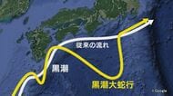 長年の不漁に明るい兆しか…漁師たちを悩ませてきた『黒潮大蛇行』に終息の兆候 海水温や気候などの見通しは