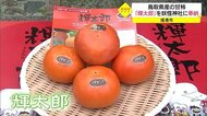 輝太郎柿を妖怪神社に奉納(鳥取・境港市)
