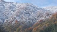 富山県内は半分の観測地点で今季一番の冷え込みに　神通峡では紅葉と雪化粧した山が美しい景色見せる