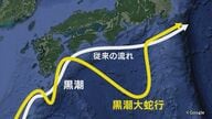 長年の不漁に明るい兆しか…漁師たちを悩ませてきた『黒潮大蛇行』に終息の兆候 海水温や気候などの見通しは