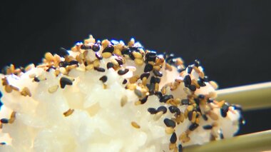 “日本ゴマ科学会”も注目 白・黒・金…宮崎・三股町の「ゴマ」 免疫力アップにも効果