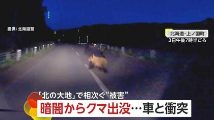 暗闇から体長1mのクマが　かわす余裕なく車と衝突…相次ぐ被害に北海道各地に「ヒグマ注意報」発令　男性襲われ死亡する事態も