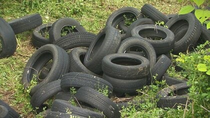 茂みに133本の“タイヤ”が不法投棄　行政が撤去も処分費用は5万円…泣き寝入り状態に｢非常に悔しい｣【新潟発】