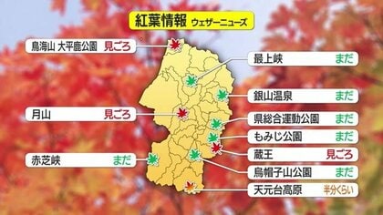 ＜紅葉見ごろ＞赤・黄色に色づいたカエデ・ブナ・ナナカマド　置賜盆地一望の天元台高原　山形・米沢市