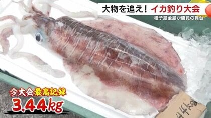 【結果はいかに？】勝負の舞台は種子島全島！大物を狙い全国から釣り人が集結　夜を徹したイカとの大奮闘