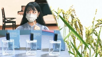 ピアニストが曲名を推理「音楽の香水」ってどんな香り？ クラシックを聞かせ育てる米も…“音楽の街”浜松の挑戦